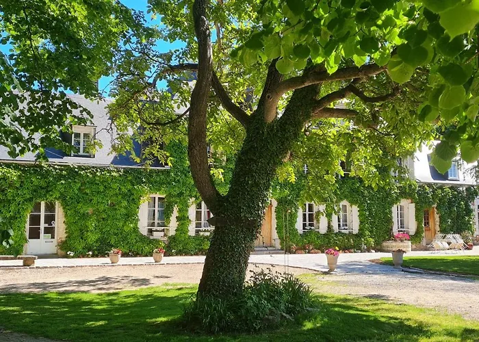La Tilia