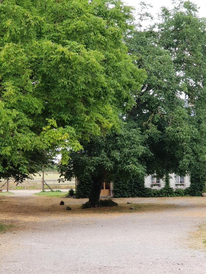 La Tilia Bed & Breakfast Saint-Riquier